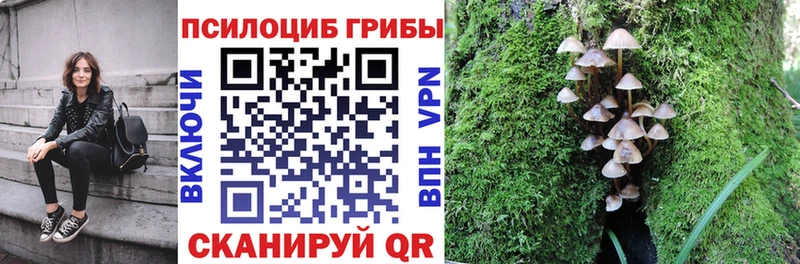 Псилоцибиновые грибы MAGIC MUSHROOMS Джанкой