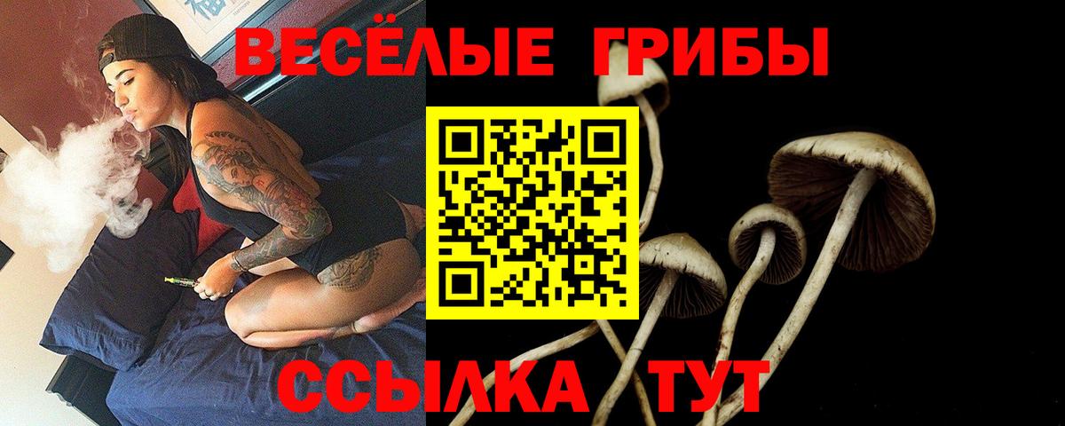 Галлюциногенные грибы Psilocybe  Джанкой  Галлюциногенные грибы GOLDEN TEACHER 